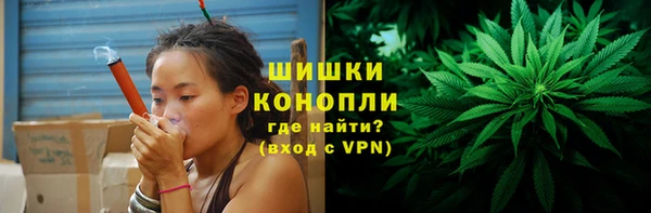 индика Покачи