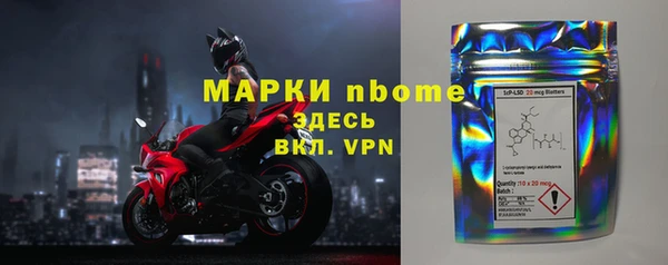 индика Покачи
