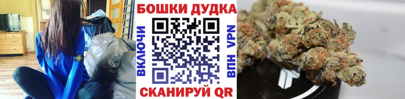 Бошки Шишки планчик  Соль-Илецк 